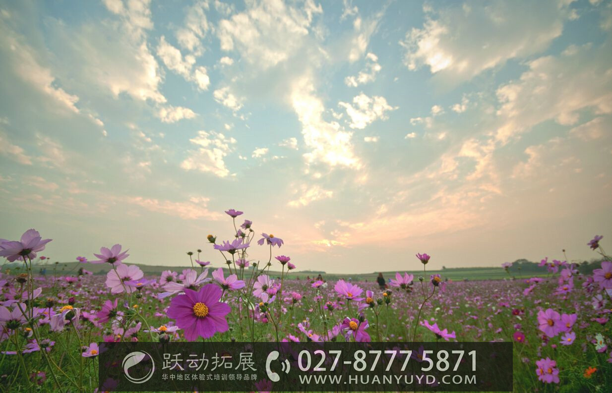 1486886284656277.jpg 1486886284656277.jpg