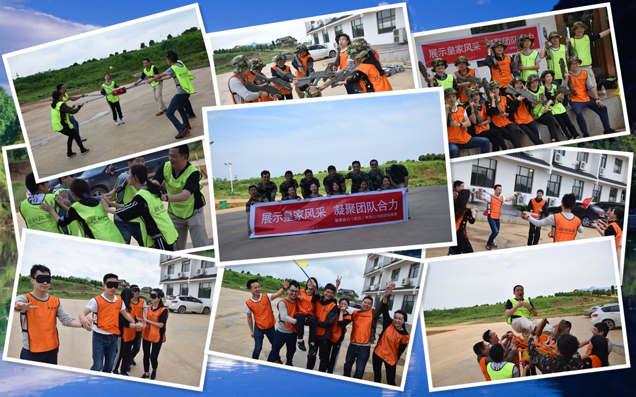 1495268988455061.jpg 11.jpg